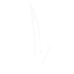Signup Arrow